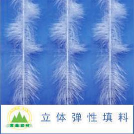 ���w��������